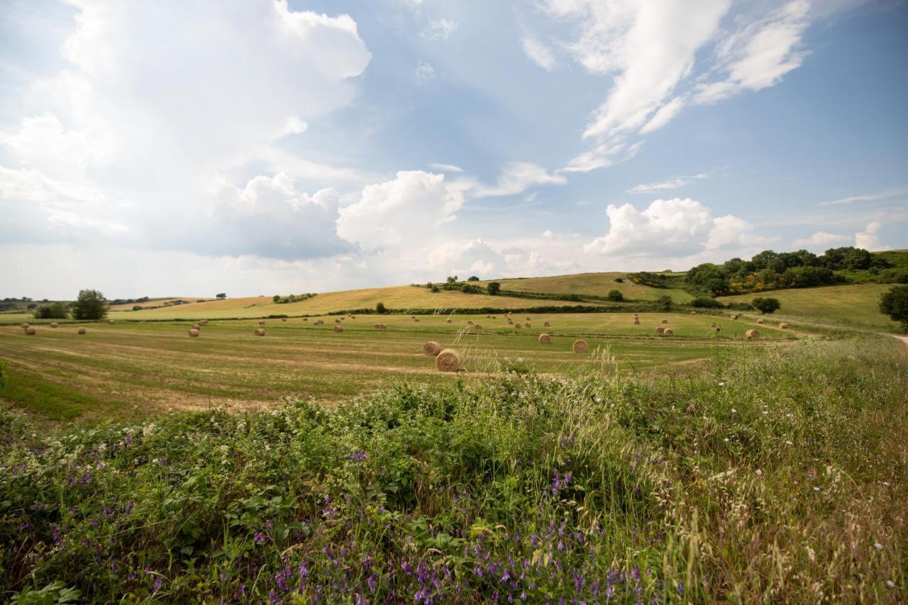 Agriturismo Lago Di Mezzano Valentano ภายนอก รูปภาพ