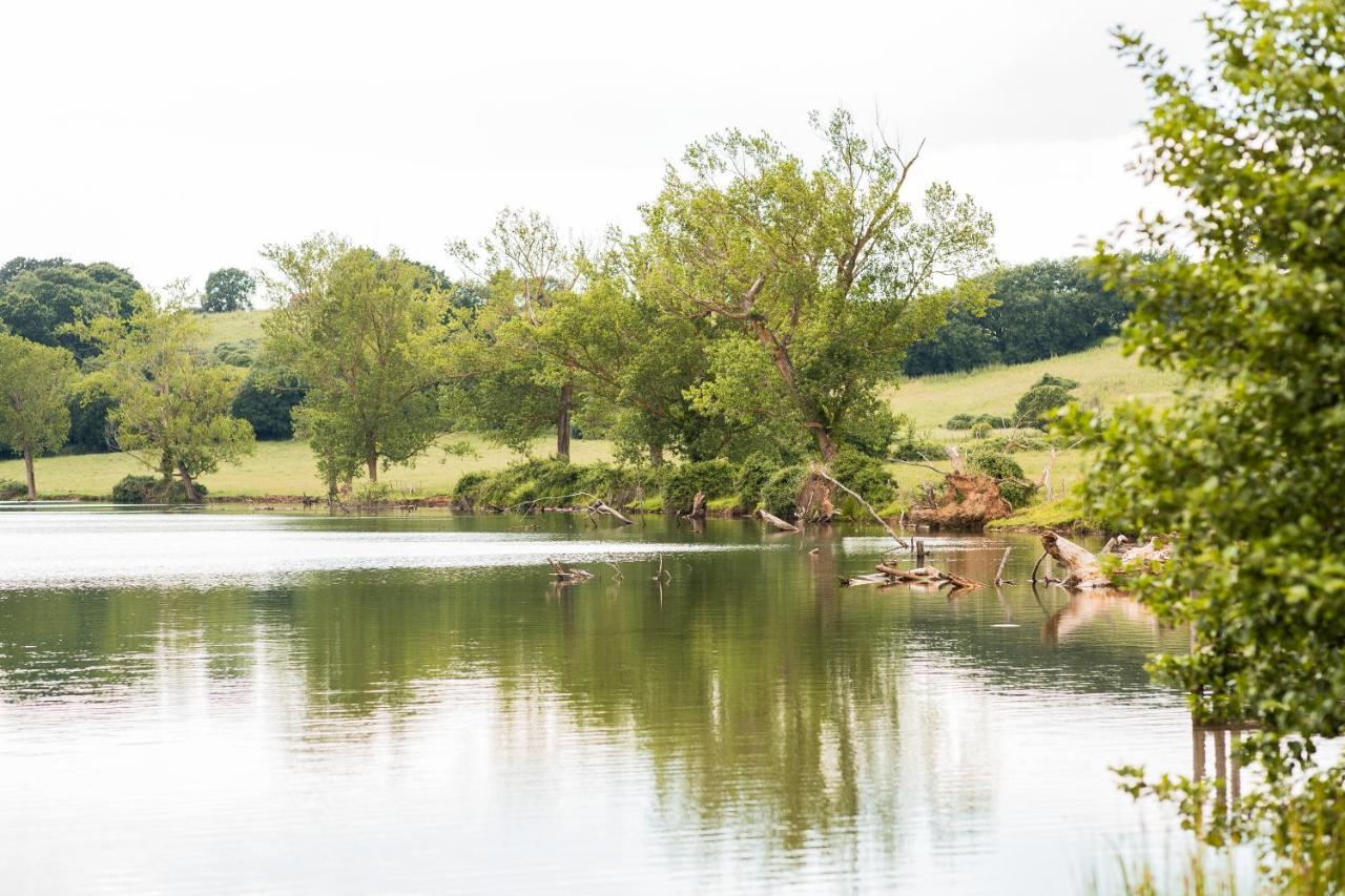 Agriturismo Lago Di Mezzano Valentano ภายนอก รูปภาพ